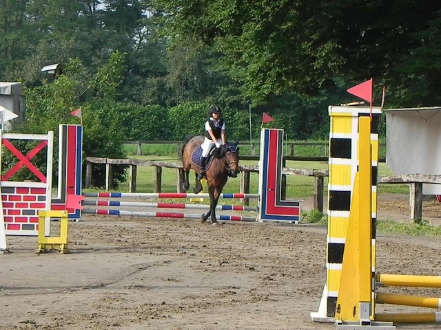  Equestrian Center and Riding School 